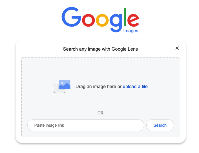 reverse image search with google